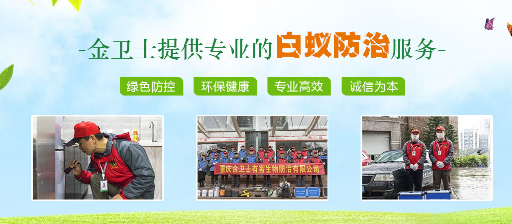春季3月時期，白蟻消殺工作任重而道遠  ?
