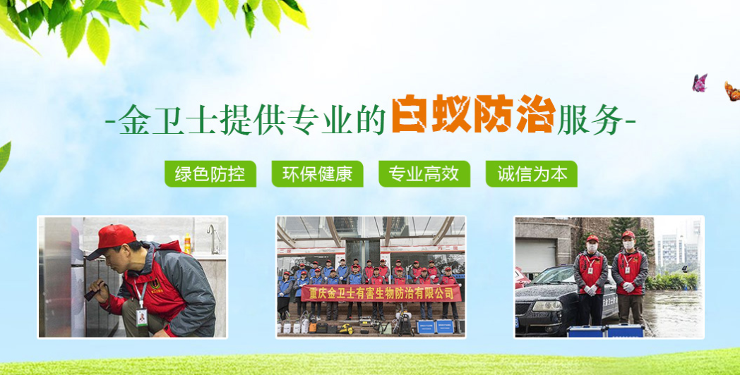 丑陋的蟑螂看起來很可怕。如何解決這種情況？